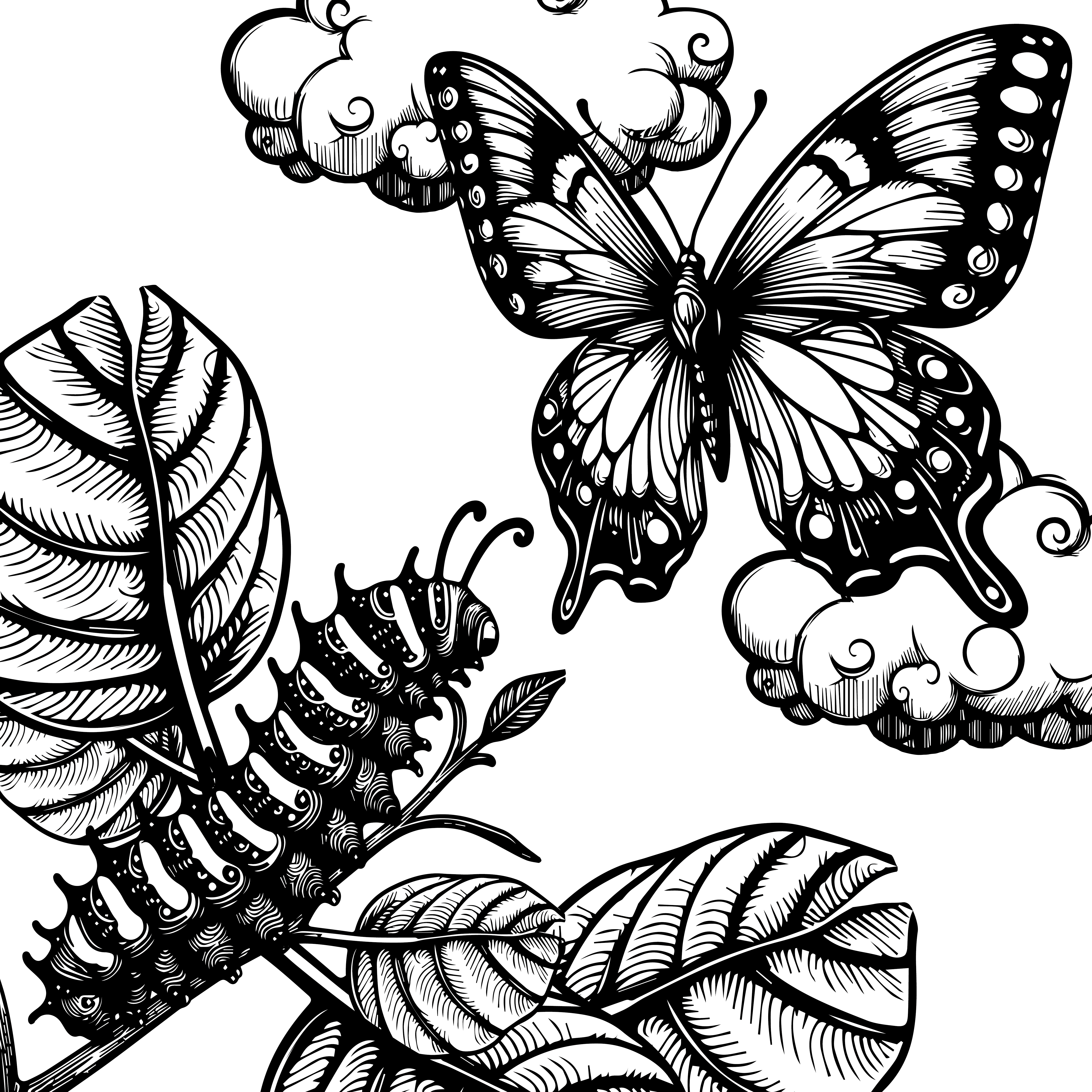 Line art drawing of butterflies with botanical elements